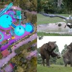 Taman Wisata dan Taman Satwa Lembah Hijau Lampung