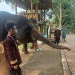 Wisata Lembah Hijau Lampung