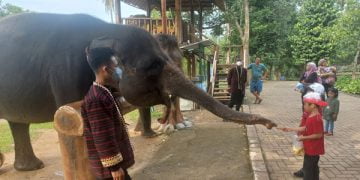 Wisata Lembah Hijau Lampung