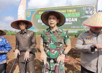 Kodim Lampung Timur Tanam Jagung di Bandar Sribhawono