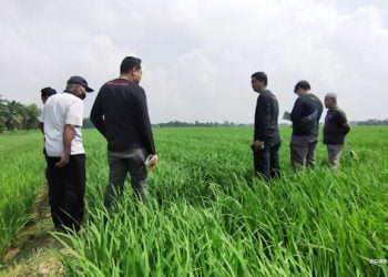 Penyerobotan Tanah Desa Braja Sakti