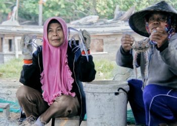 Nelayan Rajungan Kuala Penet Lampung Timur.