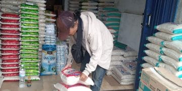 Harga Beras di Lampung