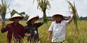 Ketua Komisi IV DPR Sudin panen raya di Lampung