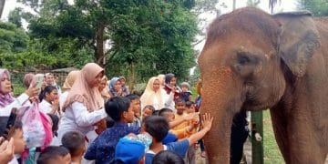 Taman Wisata dan Taman Satwa Lembah Hijau Lampung