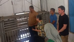 Kandang Harimau di Lembah Hijau Lampung