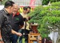 Pecinta Bonsai Ramaikan Pameran dan Perlombaan di Lampung Timur
