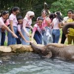 Finalis Puteri Indonesia 2023 ke Lembah Hijau Lampung