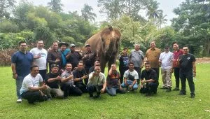 Wali Kota Tangsel Benyamin Davnie berkunjung ke Taman Satwa Lembah Hijau Lampung