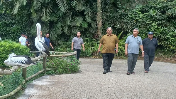 Wali Kota Tangsel Benyamin Davnie berkunjung ke Taman Satwa Lembah Hijau Lampung