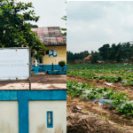 Demi Keuntungan Pribadi, Tanah Negara di Lokasi PU Desa Karyatani Lamtim Disewakan