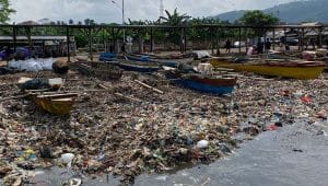 Sampah di Pantai Sukaraja Bandar Lampung