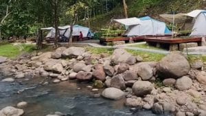 Wira Garden