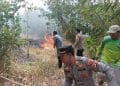 Kebakaran lahan landa Pringsewu Lampung