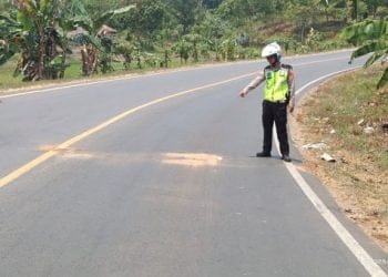 Kecelakaan Lampung Timur