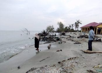 Warga Cemas Imbas Abrasi di Pesisir Lampung Timur, Daratan Menyusut 200 Meter